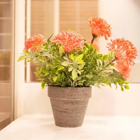 Palais Liberte Lejlighed Nice