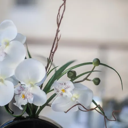 Apartamento Palais Liberte *